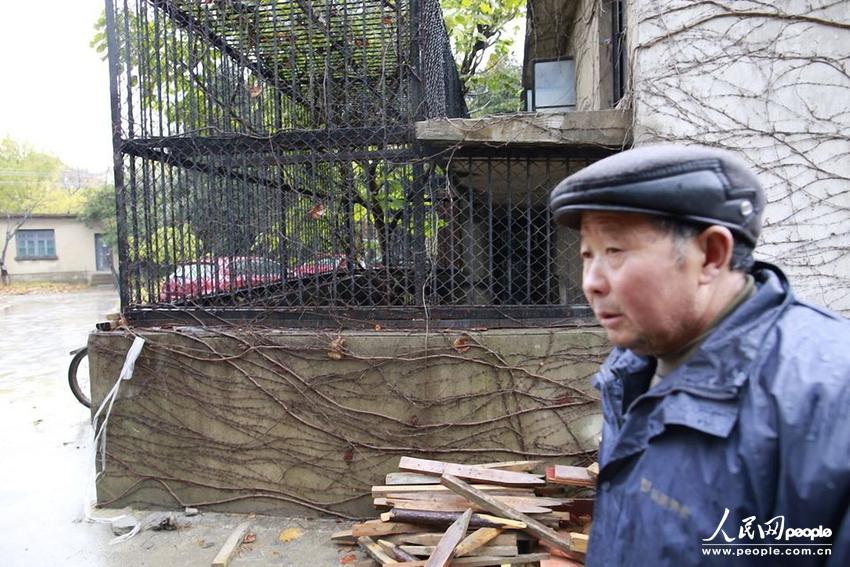وفاة مربي بعضّه نمر في حديقة الحيوانات بشانغهاي  (3)
