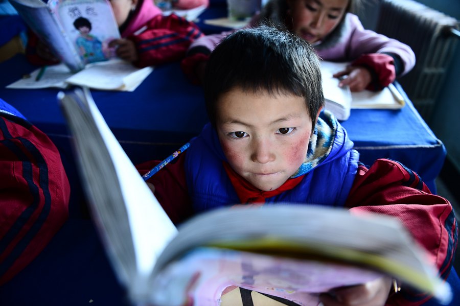 مقاطعة تشينغهاي تعزز التعليم في المناطق الرعوية 