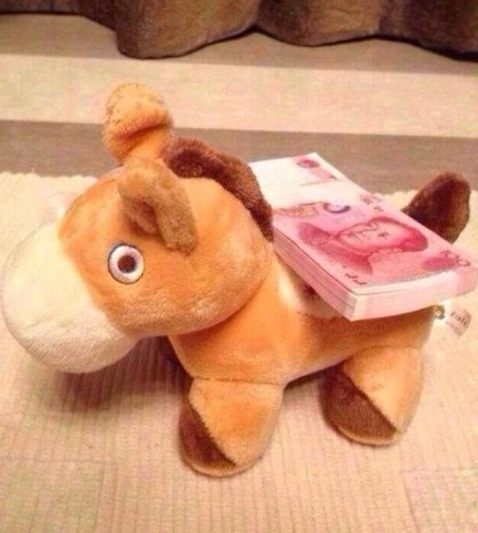 صور ظريفة:" الحصان فوقه نقود " يحرز شعبية كبيرة على الانترنت فى الصين (14)