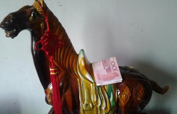 صور ظريفة:" الحصان فوقه نقود " يحرز شعبية كبيرة على الانترنت فى الصين (12)