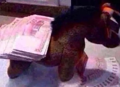 صور ظريفة:" الحصان فوقه نقود " يحرز شعبية كبيرة على الانترنت فى الصين (5)