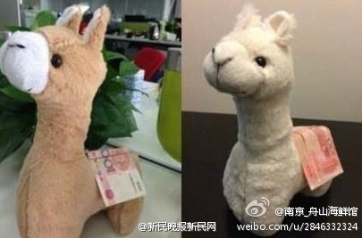 صور ظريفة:" الحصان فوقه نقود " يحرز شعبية كبيرة على الانترنت فى الصين (2)