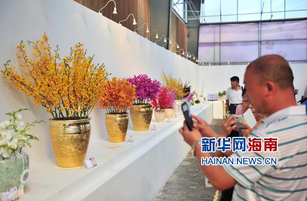 افتتاح المعرض الدولي لزهرة "السحلب" الاستوائية  (4)