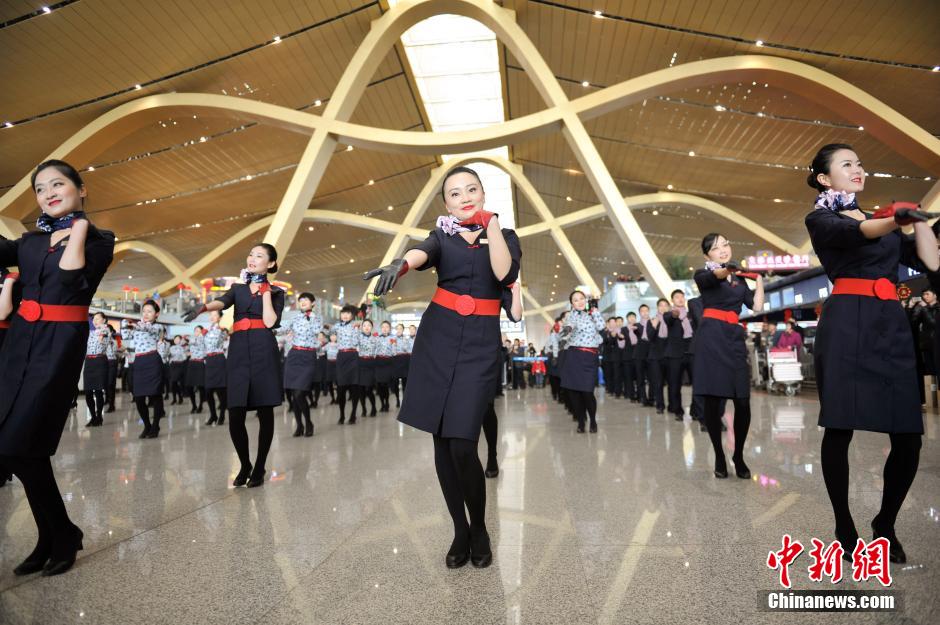 صور:رقص حار للمضيفين والمضيفات خلال "فلاش الغوغاء" فى المطار  (17)