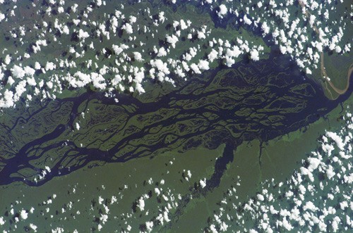 نهر الأمازون وروافده:يقع نهر الأَمَازُون في أمريكا الجنوبية. ويعد ثاني أكبر نهر في العالم من حيث الحجم والعمق. ويمكن رؤية شبكة المياه المكونة من رافديه نهري ريو نيغرو، وسوليموس بوضوح وبشكل ملحوظ من الفضاء، خاصة في موسم الفيضانات.