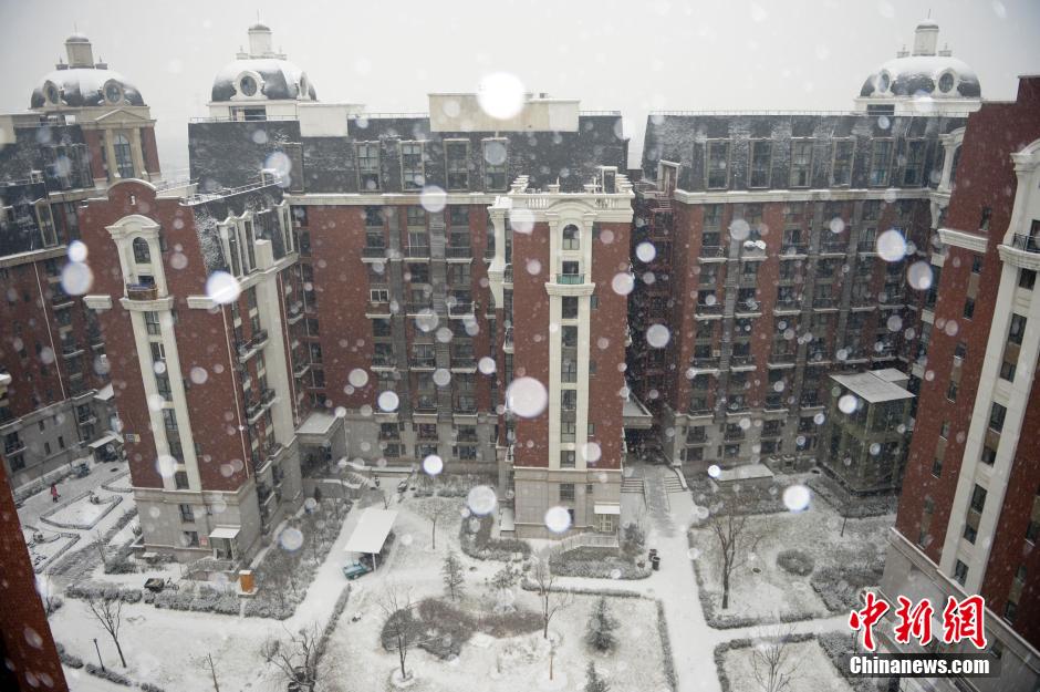 صور: بكين أول يوم تساقط الثلج عام 2014 (20)