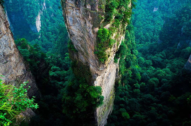 حديقة تشانغجياجيه الوطنية للغابات، الصين
