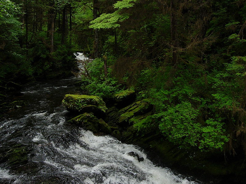 حديقة تونغاس الوطنية للغابات، ألاسكا، الولايات المتحدة 