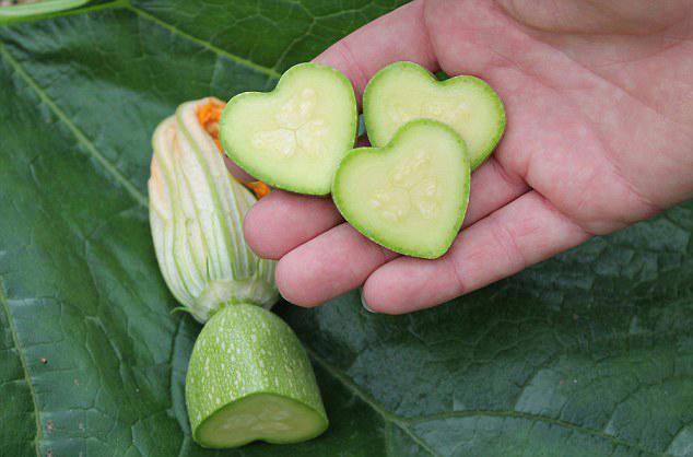 خضروات على أشكال "قلوب" تستقبل عيد الحب في بريطانيا  (3)