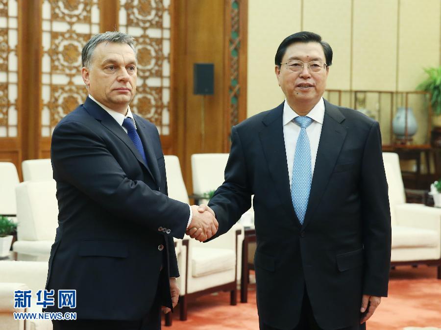 كبير المشرعيين الصينيين يلتقي برئيس الوزراء المجري