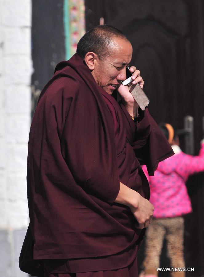 تجاوز عدد مستخدمي الهواتف المحمولة 2.6 مليون شخص في التبت (2)