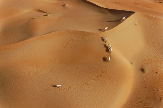 الحياة في الصحراء (5)