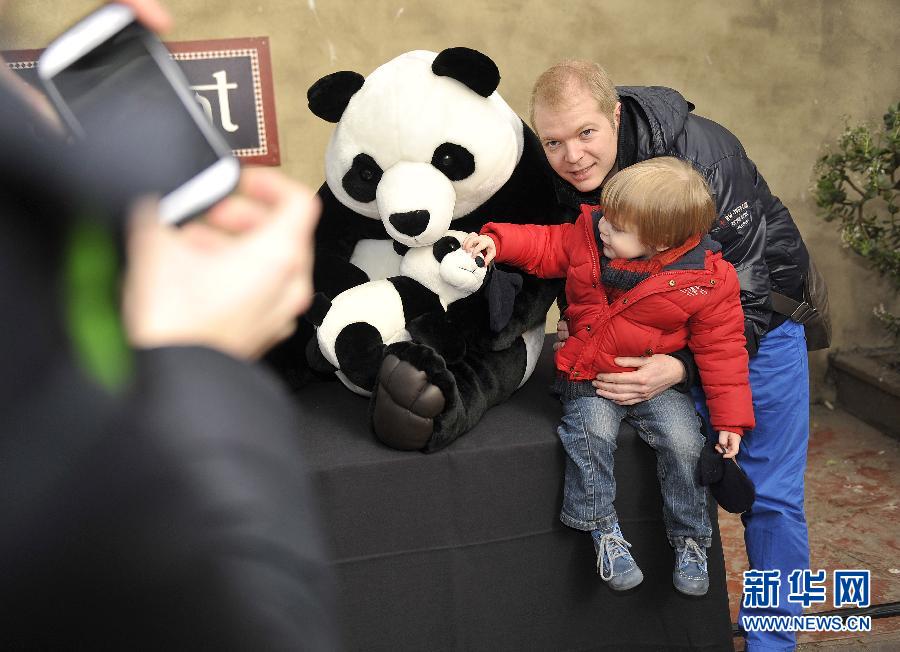 وصول زوج من الباندا العملاقة الصينية إلى بيتهما الجديد فى بلجيكا  (11)