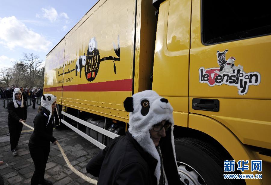 وصول زوج من الباندا العملاقة الصينية إلى بيتهما الجديد فى بلجيكا  (3)