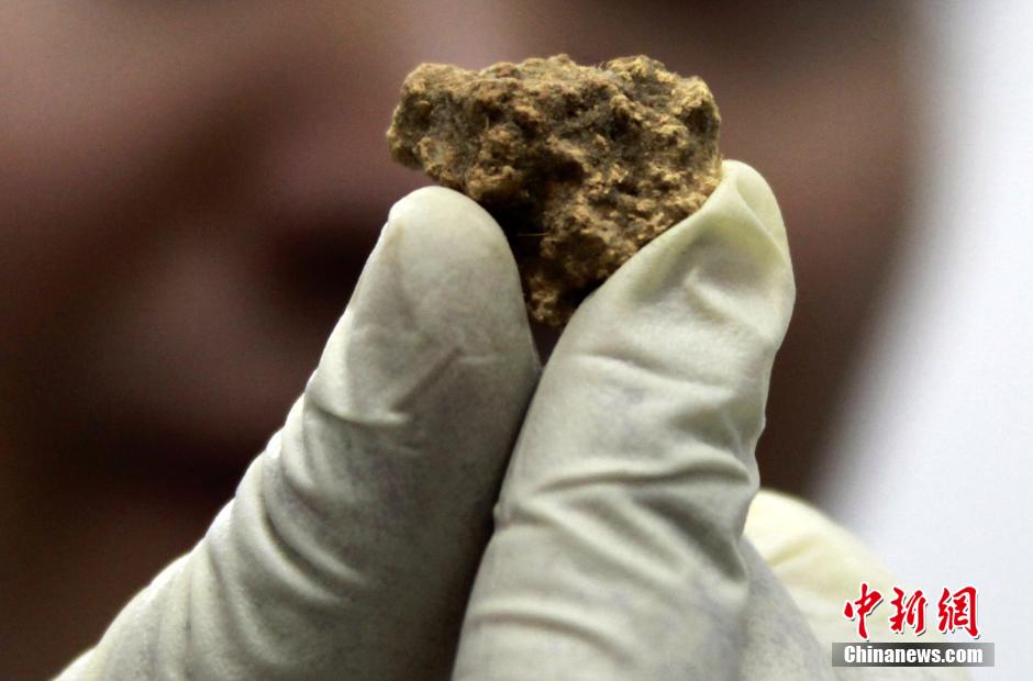 شينجيانغ تكتشف أقدم قطعة جبن في العالم  (2)