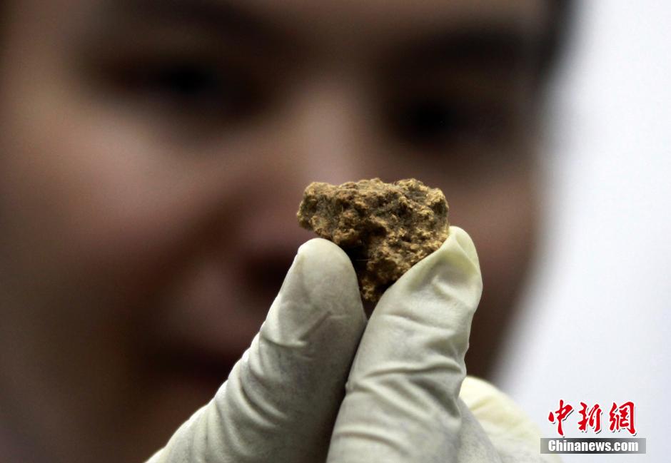 شينجيانغ تكتشف أقدم قطعة جبن في العالم 
