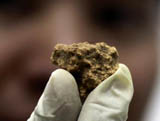 شينجيانغ تكتشف أقدم قطعة جبن في العالم