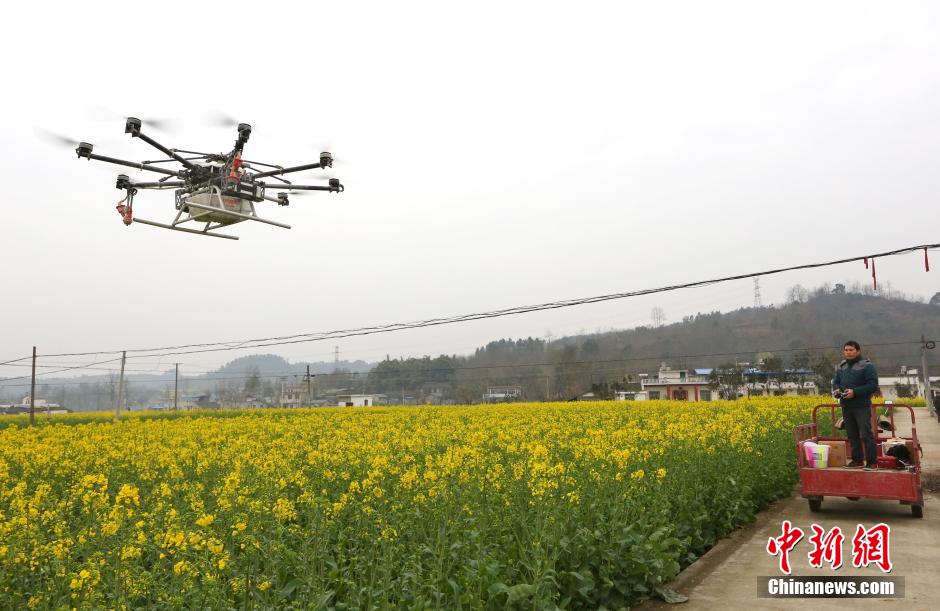 مقاطعة سيتشوان تستخدم طائرة دون طيار لرش المبيدات 