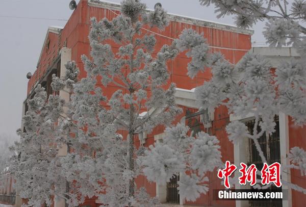 مناظر ضباب الصقيع الساحرة بعد الثلوج في شينجيانغ  (3)