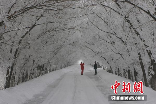 مناظر ضباب الصقيع الساحرة بعد الثلوج في شينجيانغ 