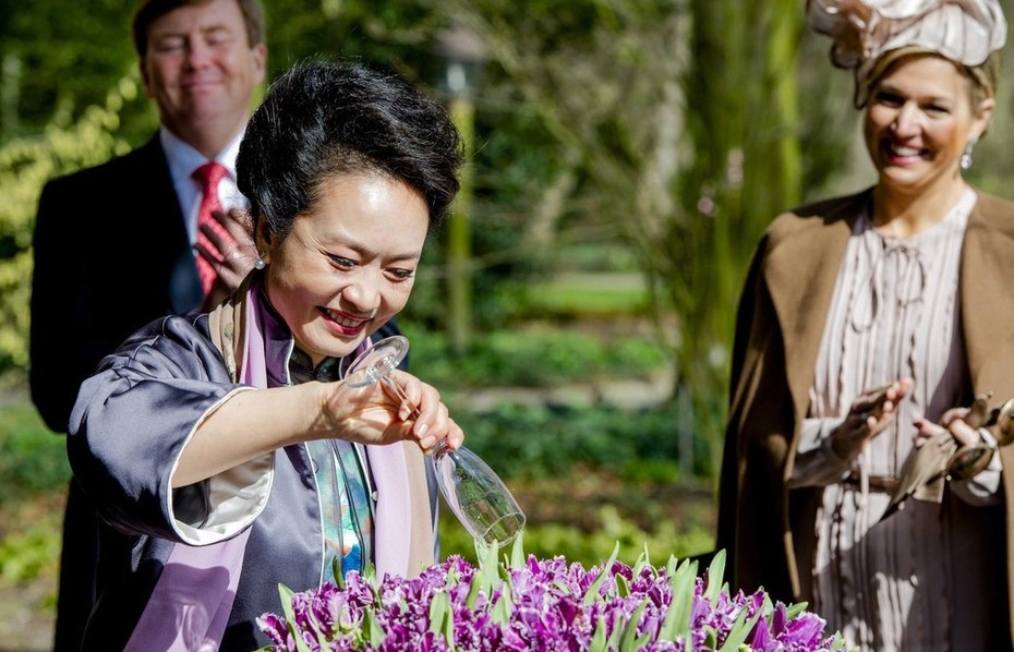 بنغ لي يوان تطلق على شتل جديد من زهرة الزنبق في هولندا (2)
