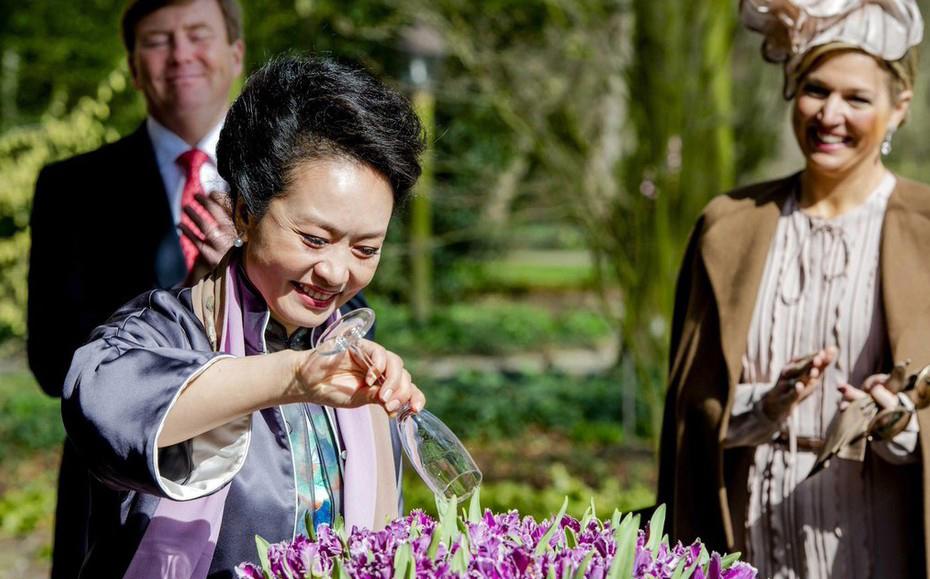 بنغ لي يوان تطلق على شتل جديد من زهرة الزنبق في هولندا