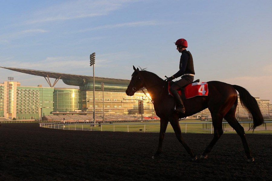 أغنى سباقات العالم .. كأس دبي العالمي للخيول  (4)