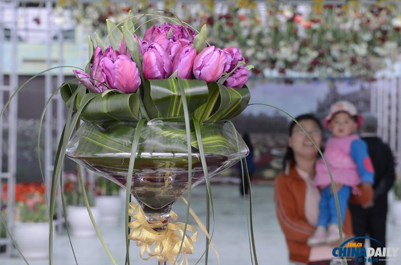 أزهار الزنبق الهولندية التى أسمتها زوجة الرئيس الصيني ستعرض ببكين (4)