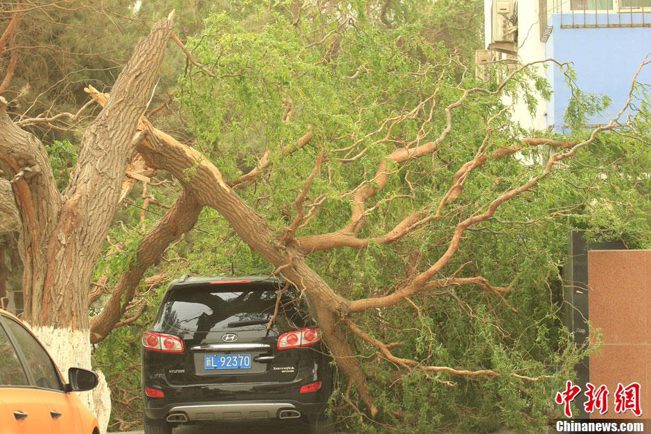 صور:عاصفة رملية شديدة ضربت شينجيانغ،نينغشيا والمناطق الأخرى 23 ابريل  (19)