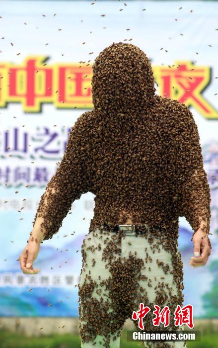 "رجل النحل" في الصين يسجل رقما قياسيا عالميا بتغطية جسمه بالنحل ل53 دقيقة     (6)