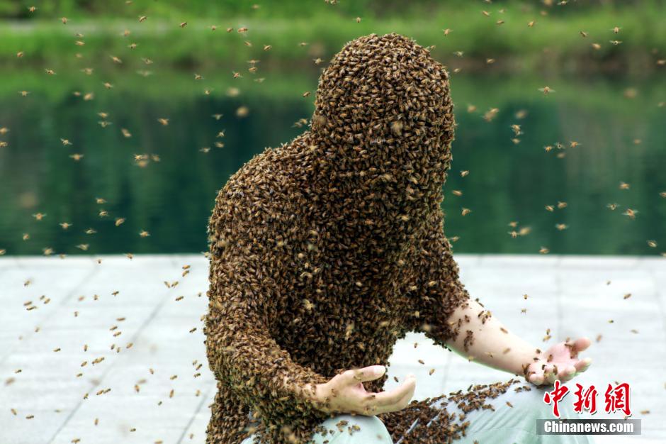 "رجل النحل" في الصين يسجل رقما قياسيا عالميا بتغطية جسمه بالنحل ل53 دقيقة     (4)