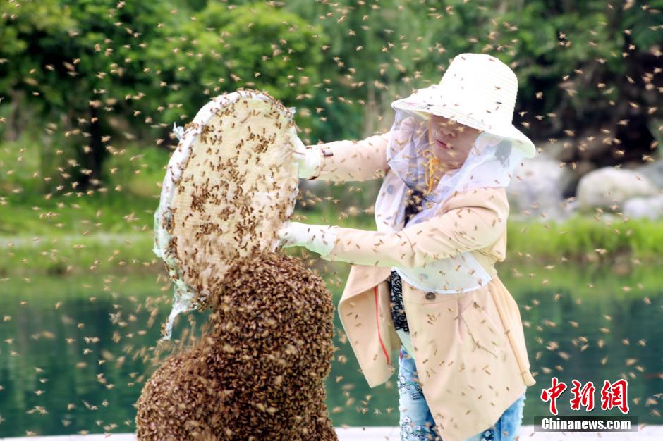 "رجل النحل" في الصين يسجل رقما قياسيا عالميا بتغطية جسمه بالنحل ل53 دقيقة    