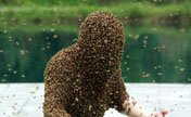 "رجل النحل" يسجل رقما قياسيا عالميا بتغطية جسمه بالنحل ل53 دقيقة 