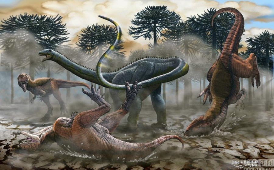 اكتشاف أكبر أحفور ديناصوري  في العالم بالأرجنتين  (5)
