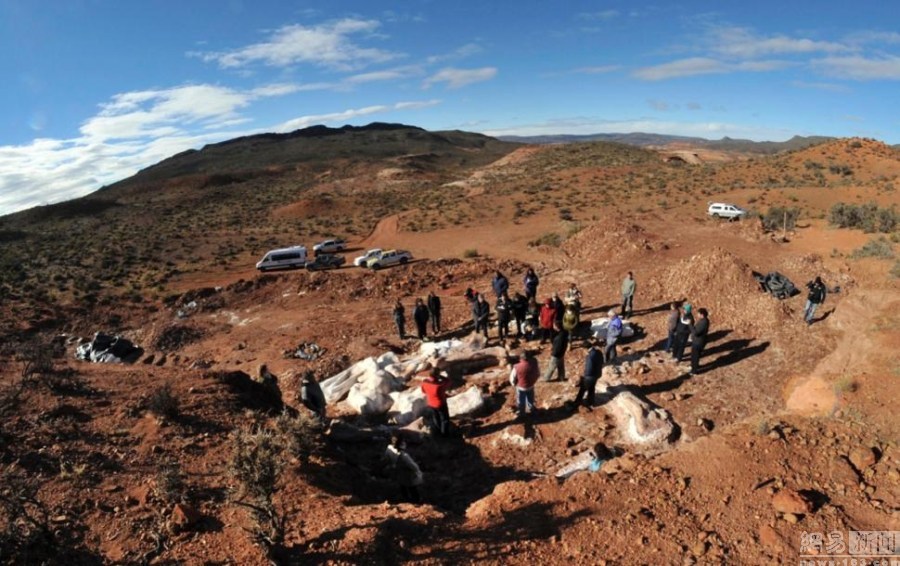 اكتشاف أكبر أحفور ديناصوري  في العالم بالأرجنتين  (3)