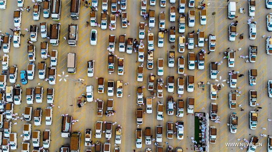 تحقيق إخباري: أكبر سوق للتمور في العالم يعج بالزبائن ويتزامن مع موسم الحصاد