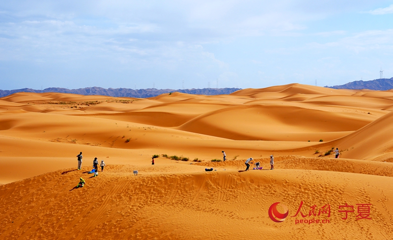 ذهب الصحراء... تشونغوي تحوّل الرمال إلى ثروة ثقافية