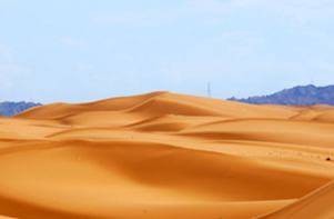 ذهب الصحراء... تشونغوي تحوّل الرمال إلى ثروة ثقافية