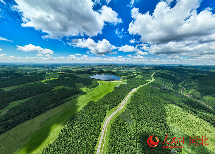 في سايهانبا، سور أخضر منيع يحمي البيئة