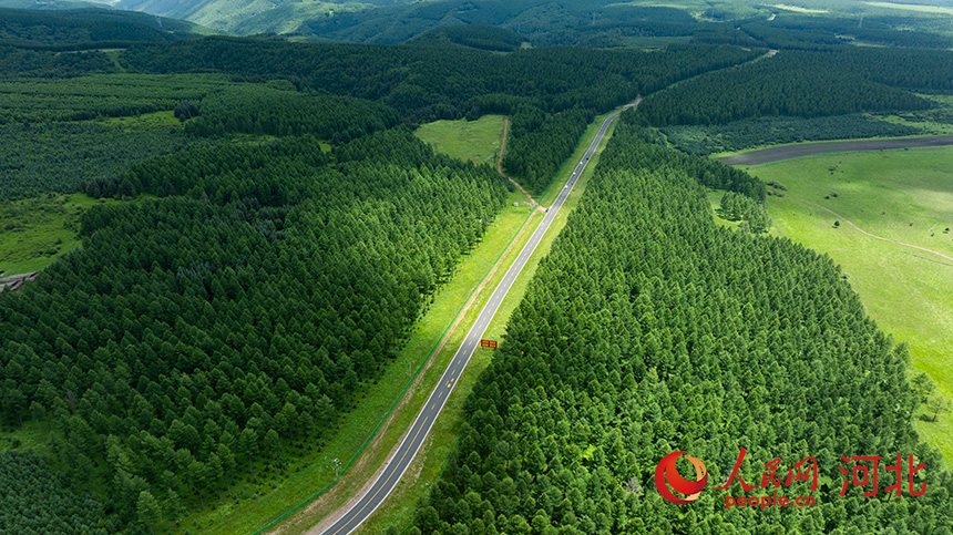 في سايهانبا، سور أخضر منيع يحمي البيئة