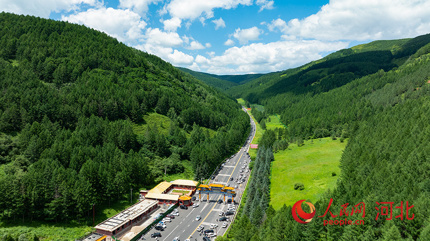 في سايهانبا، سور أخضر منيع يحمي البيئة