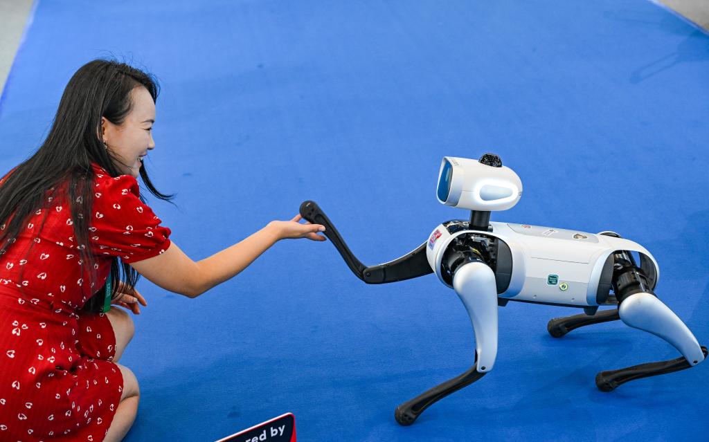 الصورة: معرض الصناعة الذكية العالمي 2025 في تشونغتشينغ بجنوب غربي الصين