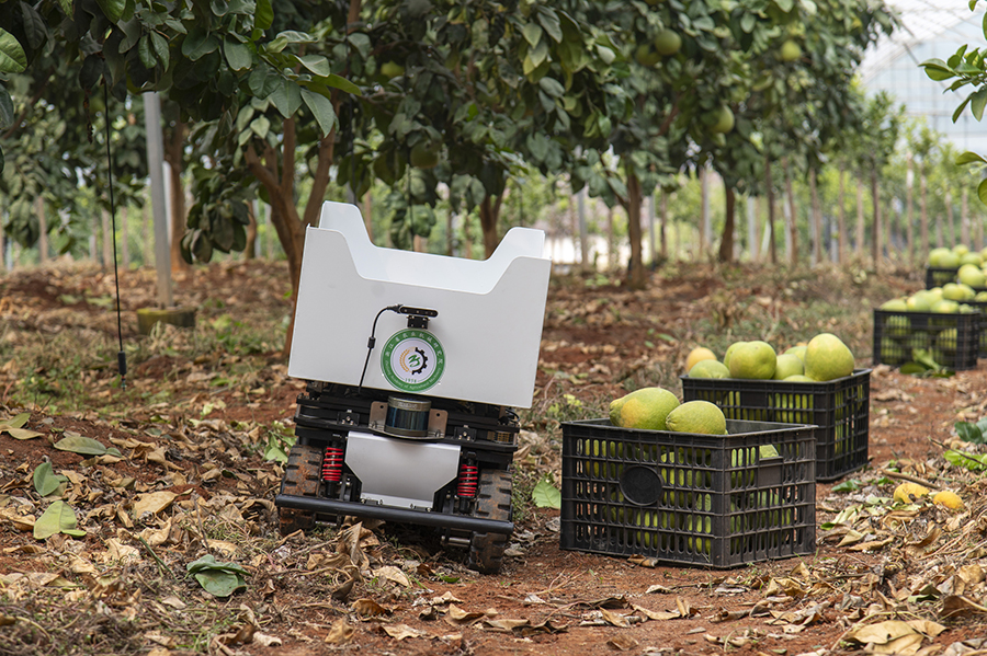 جينهوا، تشجيانغ: استخدام روبوتات التفتيش والنقل الذكية للصوب الزراعية رسميًا
