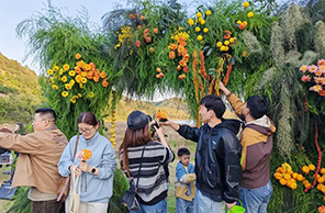 زفاف صديق للبيئة: المحاصيل بدلا من الورود والهدايا جاهزة للالتقاط