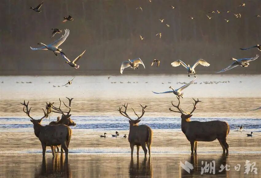 بعد أربعين عامًا من عودته إلى الصين .. الغرب يعيد الاسم الصيني الاصل 