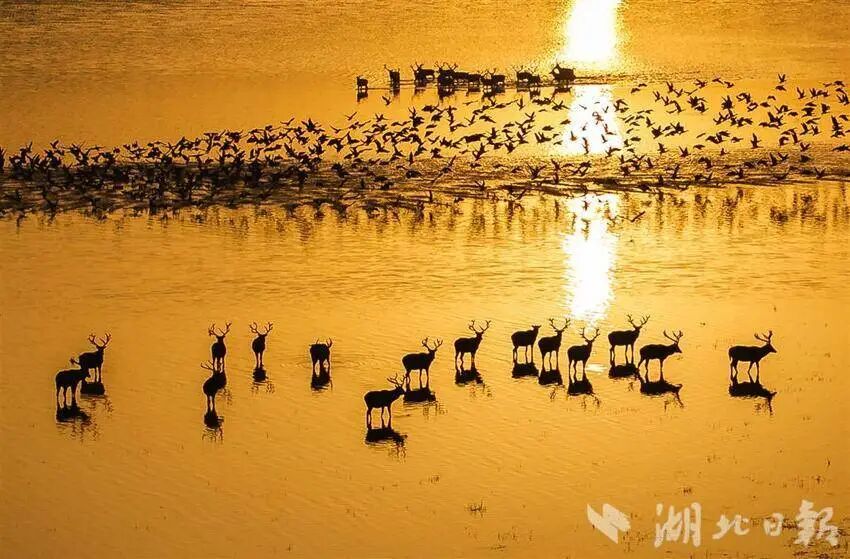 بعد أربعين عامًا من عودته إلى الصين .. الغرب يعيد الاسم الصيني الاصل 