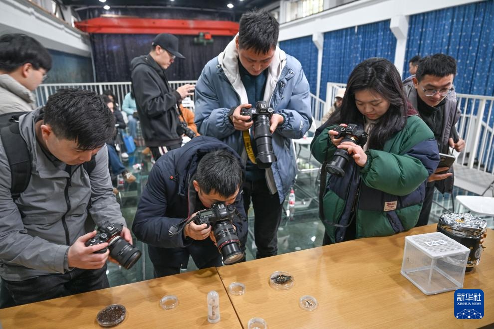 مقالة : تجربة فضائية صينية تشهد خروج فراشة في المدار