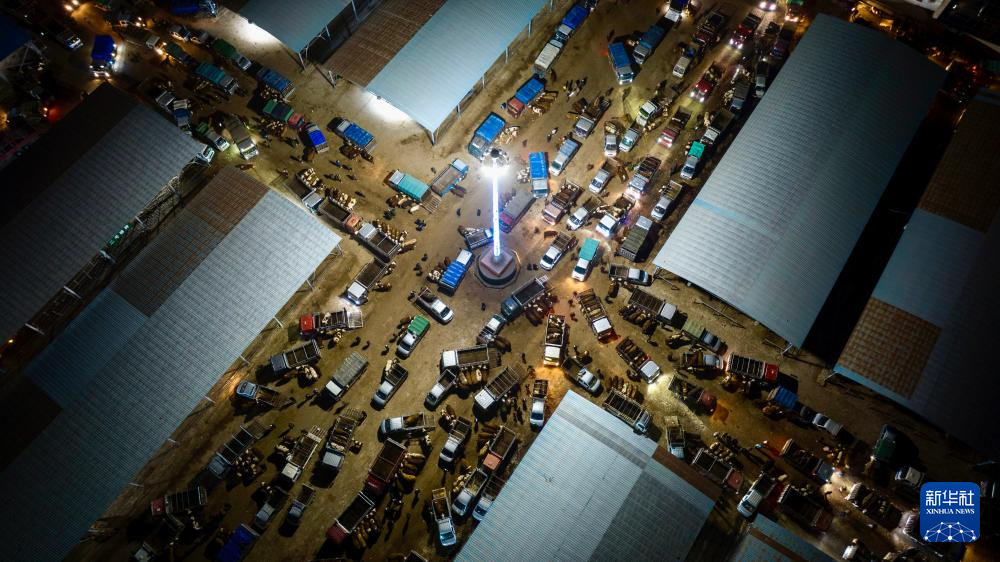 ازدهار أسواق الماشية في شيجي مع بدء فصل الربيع