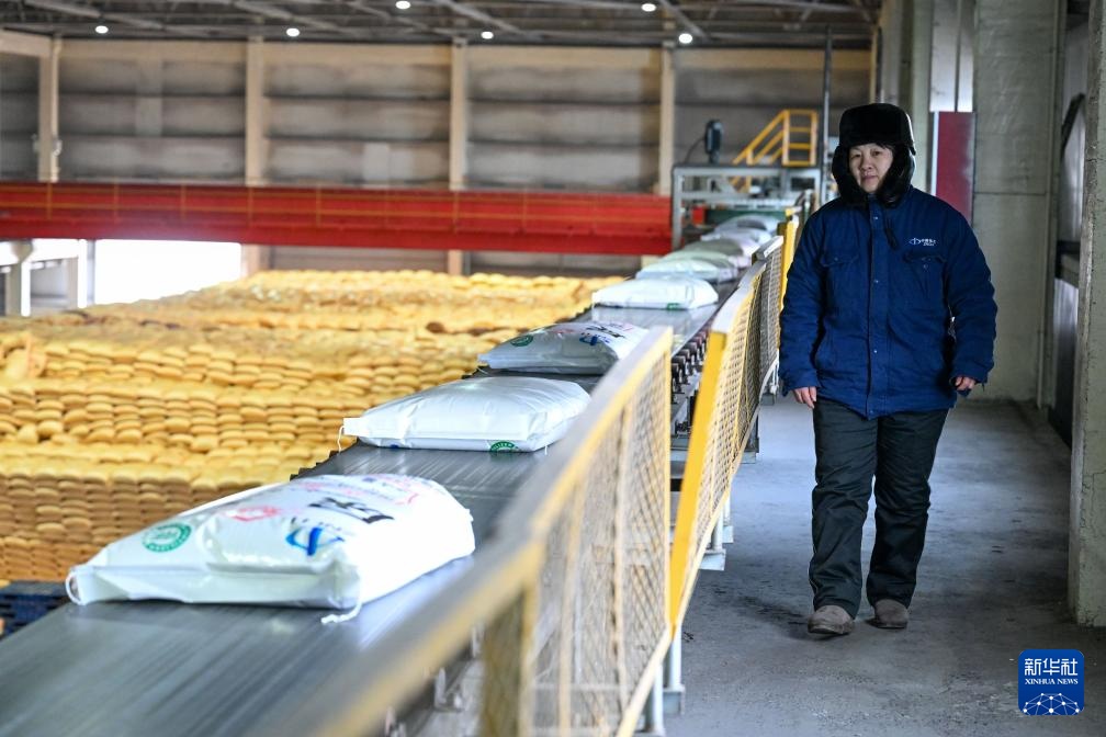 شينجيانغ تعتمد التكنولوجيا لتعزيز الاستعدادات لموسم زراعة الربيع وضمان الإمدادات الزراعية اللازمة