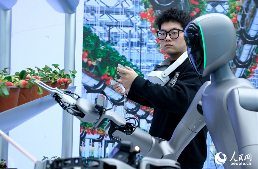 ميدان تدريب الروبوتات في تشنغتشو: تحويل 